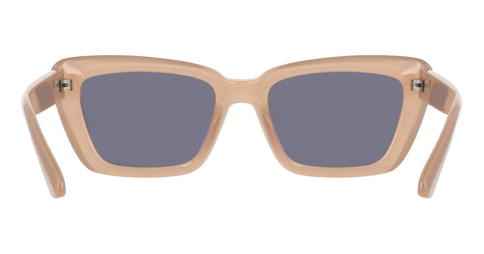 SAGE - Cloudy Blush with Polarized Lumalens Smoke Lens