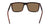MERIDIEN UPCYCLED - Tortoise with Lumalens Brown Lens