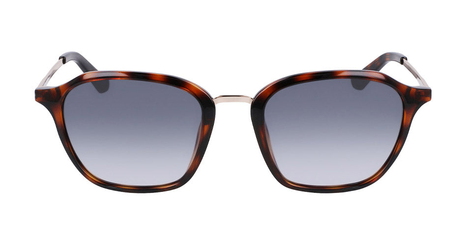 FALLON - Shiny Tortoise with Lumalens Smoke Gradient Lens